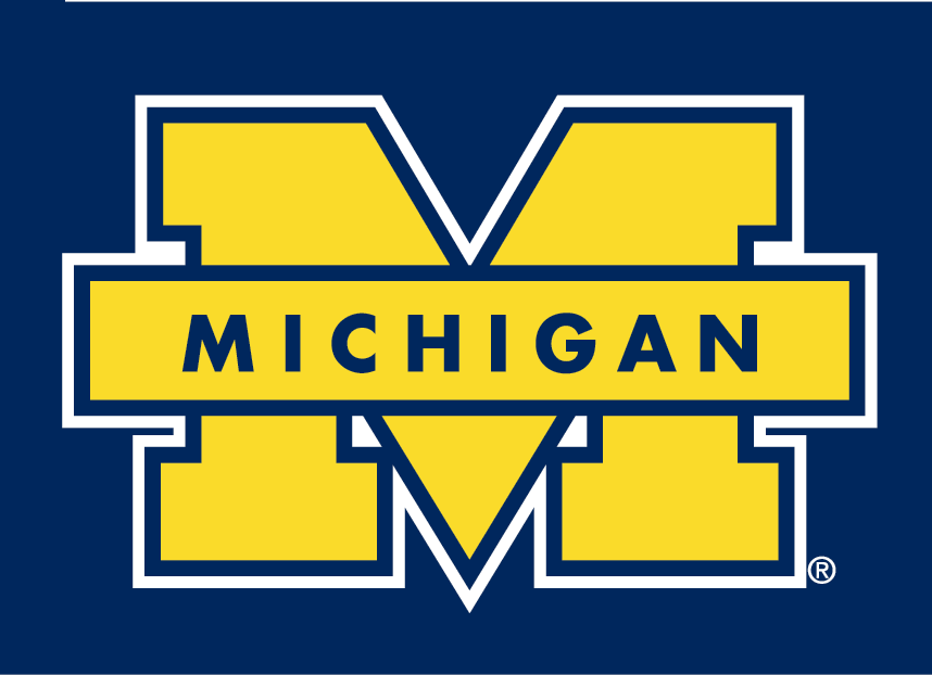 Michigan Wolverines 1996-Pres Secondary Logo v2 diy iron on heat transfer